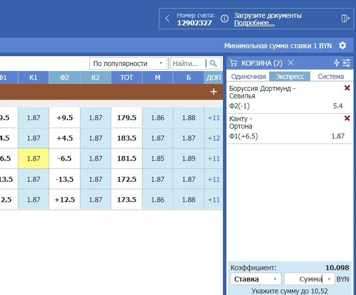 Экспресс-ставки в Бетсити