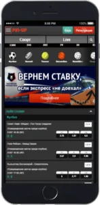 Мобильное приложение