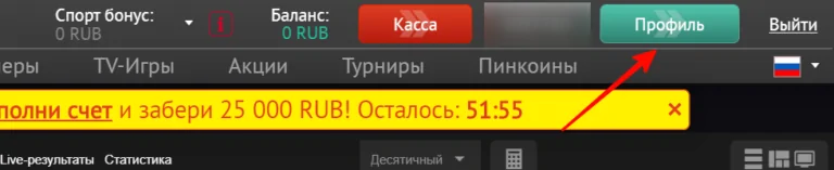 Профиль Пин Ап